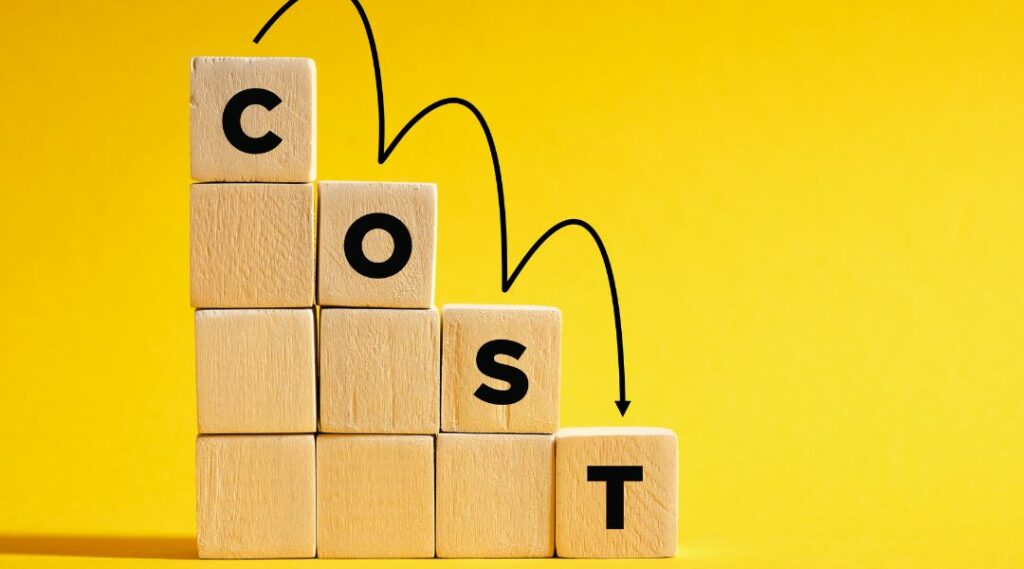 Payroll management cost estimation in South Africa