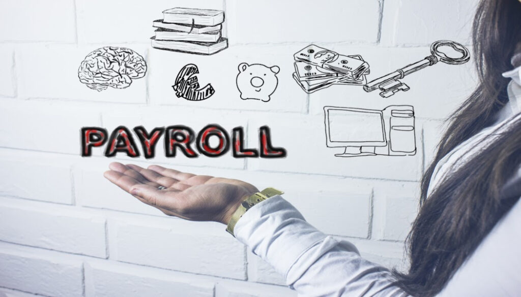 Employer of record payroll services